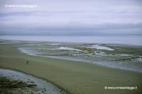 Spiaggia a Homer 73-17-07